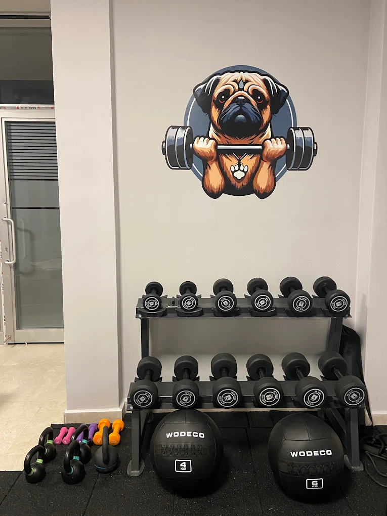 Line Gym Studio Atakum Antrenman Alanı